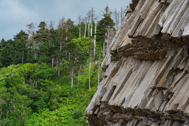 Similar image 21745454