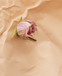 Similar image 21745111