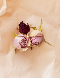 Similar image 21745113