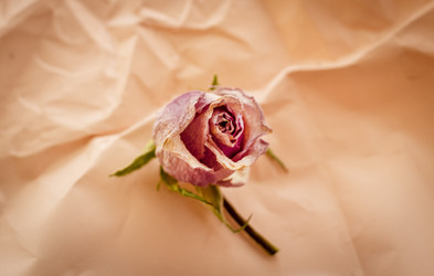 Similar image 21745115