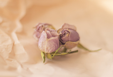 Similar image 21746002