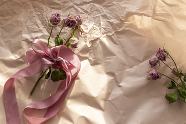 Similar image 21746007