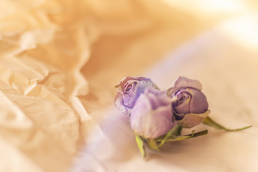 Similar image 21746008