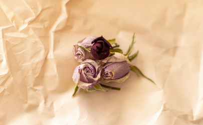 Similar image 21746310