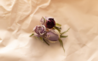 Similar image 21746312