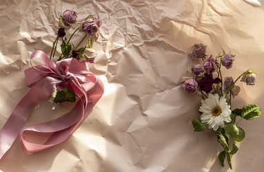 Similar image 21746320