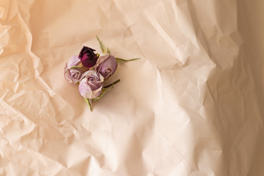 Similar image 21746321