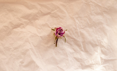 Similar image 21746333