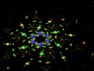 Similar image 21759718