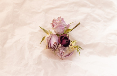 Similar image 21747856