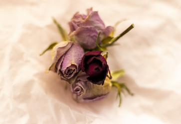 Similar image 21747858