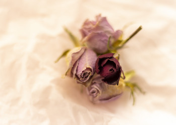 Similar image 21747860