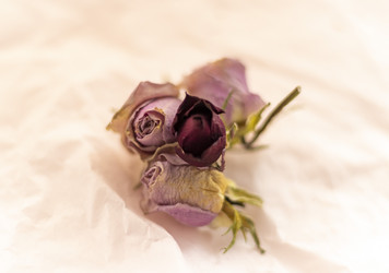 Similar image 21747864