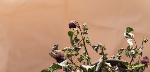 Similar image 21748109