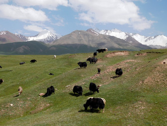 Similar image 21744116