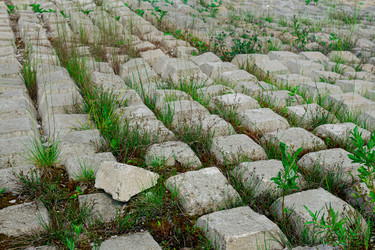 Similar image 21750891