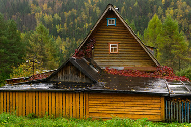 Similar image 21751144