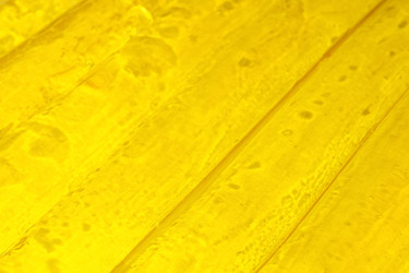 Similar image 21745258