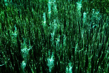 Similar image 21745261