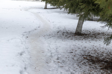 Similar image 21744954