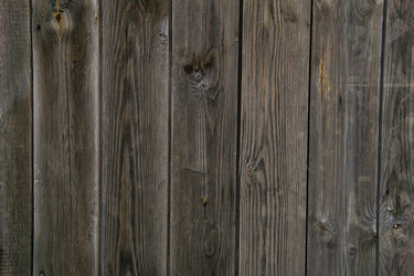 Similar image 21749454