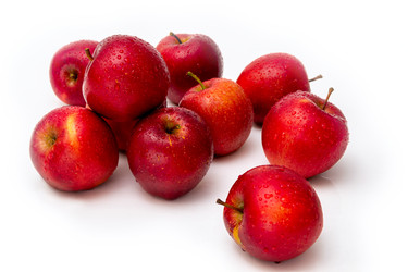 Similar image 21744014