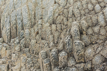 Similar image 21749834