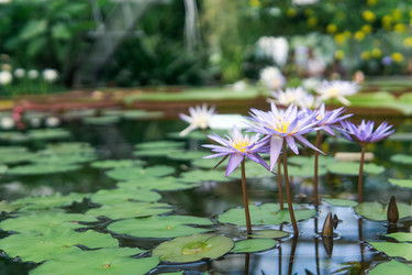 Similar image 21749843