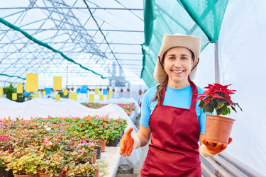 Similar image 21750056