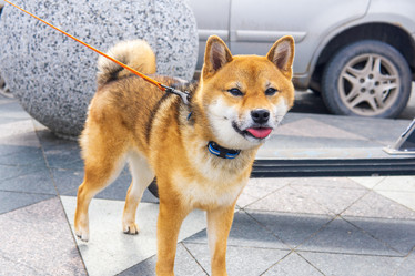 Similar image 21750058