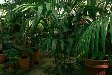 Similar image 21746578