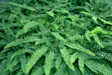 Similar image 21748818