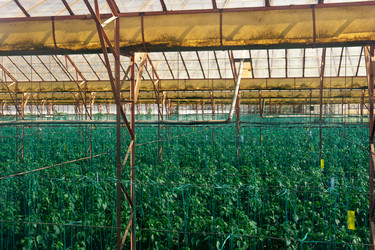 Similar image 21749495