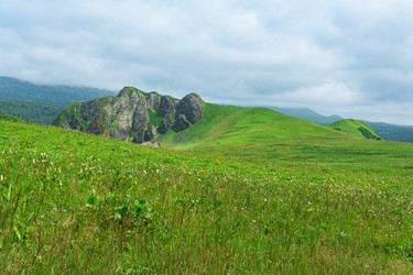 Similar image 21749502