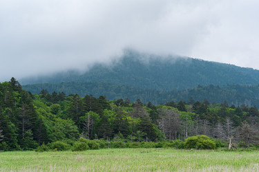 Similar image 21749517