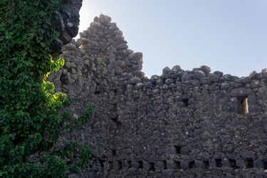 Similar image 21749527