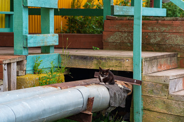 Similar image 21749856