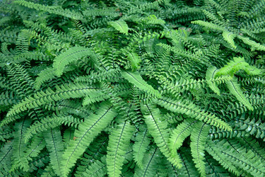 Similar image 21745291