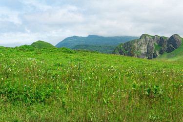 Similar image 21745295