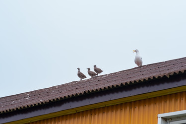 Similar image 21745303