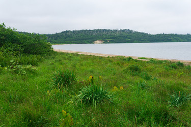 Similar image 21745304