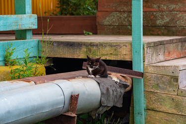 Similar image 21745514