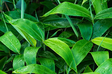 Similar image 21745517