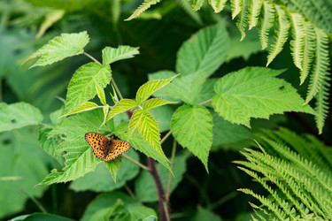 Similar image 21745519