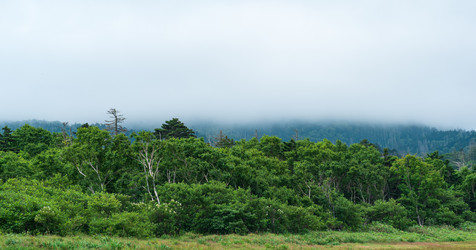 Similar image 21745522