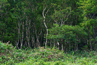 Similar image 21749537