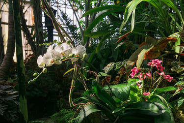 Similar image 21749867