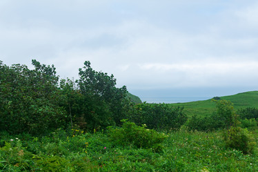 Similar image 21750061