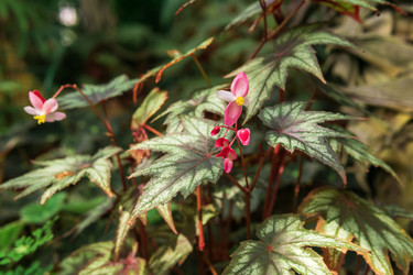 Similar image 21750478