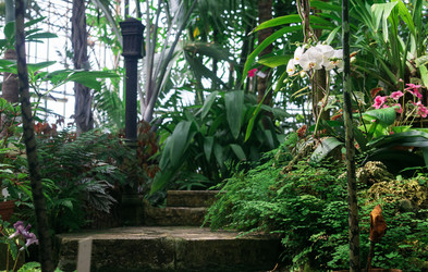 Similar image 21750480